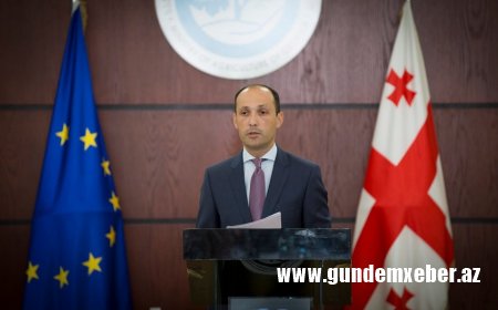 Gürcüstanda daha bir nazir koronavirusa yoluxub