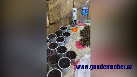 14 kiloqrama yaxın narkotik vasitə qanunsuz dövriyyədən çıxarılıb - Polisdən ƏMƏLİYYAT