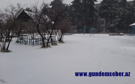 Bakıda 5 dərəcəyə yaxın şaxta olub - FAKTİKİ HAVA