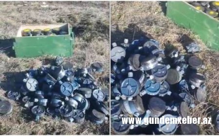Qubadlıda 120 ədəd piyada əleyhinə mina zərərsizləşdirilib
