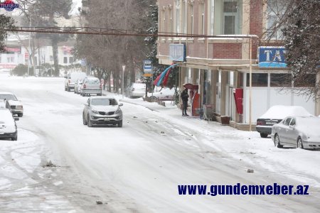DYP sürücülərə müraciət etdi: "Düzgün təhlil etsinlər..."