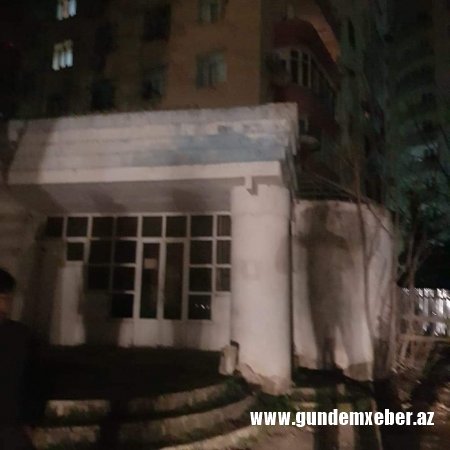 Xırdalanda ağaclar kütləvi şəkildə məhv edilir - FOTO/VİDEO
