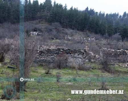 Nazirlik rəsmisi: “Ermənilər ağacları kəsməklə yanaşı onların kötüklərini də yandırıblar”