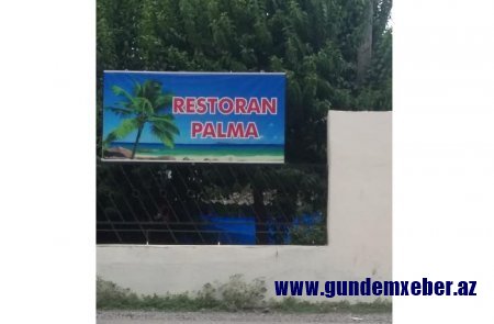 Restoranda qadın məsləhətxanası fəaliyyət göstərir - Cəlilabadda biabırçılıq