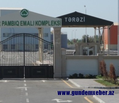 Yevlax pambıq zavodunda “mahlıc əməliyyatı”… - İTTİHAM