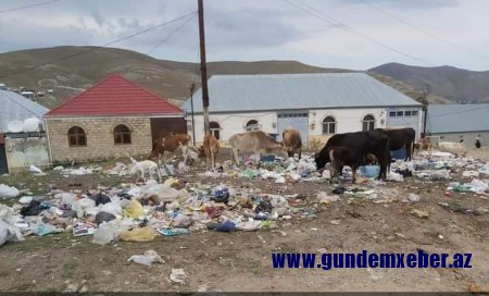 Ölkənin səfalı guşələrini zibilxanaya çevirənlər kimlərdir? - FOTO