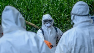 Daha ölümcül virus: hələlik 42 nəfər vəfat edib