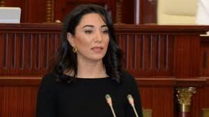 Ombudsman: "Ermənistan minaların dəqiq xəritələrini verməkdən imtina edir"