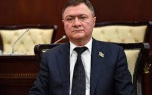 Deputat Azər Kərimli Qaxda ağacların soyqırımını davam etdirir – Foto