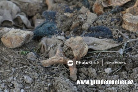 Dövlət Komissiyasından azad edilmiş ərazilərdə kütləvi məzarlıqların tapılması ilə bağlı RƏSMİ AÇIQLAMA