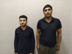 Xaçmazda narkotik bitkilərin kultivasiyası ilə məşğul olan şəxslər yaxalandılar