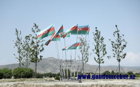Cəbrayıl, Zəngilan, Füzuli və Ağdamda meşə-parkların salınmasına başlanılıb