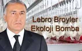 Deputatın şirkəti iylənmiş toyuqları xalqa necə sırıyır? – FOTO-VİDEO