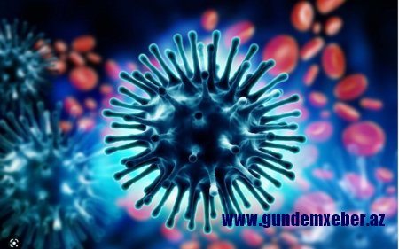 Səhiyyə Nazirliyi: "Azərbaycanda influenza virusu yayılıb"