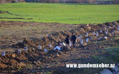 Zəlzələ qurbanlarının qəbir daşları diqqət çəkdi - Fotolar