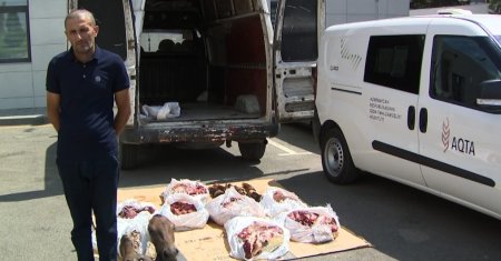 Xəstə at ətini mal əti adı altında satan şəxs saxlanı­lıb - FOTO