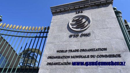 Ukrayna ilə Şərqi Avropa ölkələri arasında münaqişənin kökündə nə dayanır?