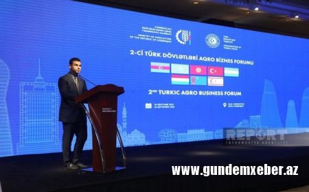 Qarabağda biznes qurmaq istəyən xarici sahibkarların yarıdan çoxu TDT-nin payına düşür