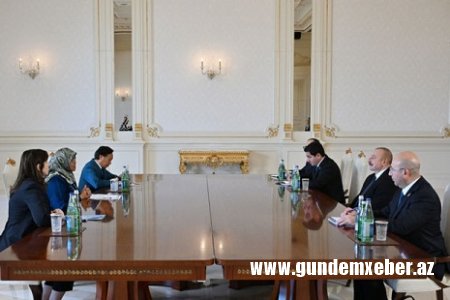 Prezident BMT rəsmisini qəbul etdi - FOTO