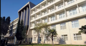 Bu xəstəxana rəhbər kreslosu sifariş verib: fıstıq ağacından olmalıdır - DETALLAR