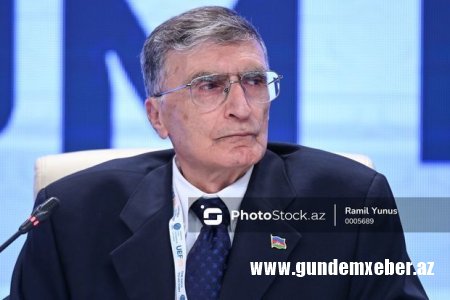 Əziz Səncər AMEA-nın fəxri üzvü seçiləcək