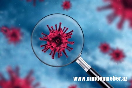 Koronavirus epidemioloqları təhlükəli xəstəliyi tamamilə MƏHV ETDİLƏR