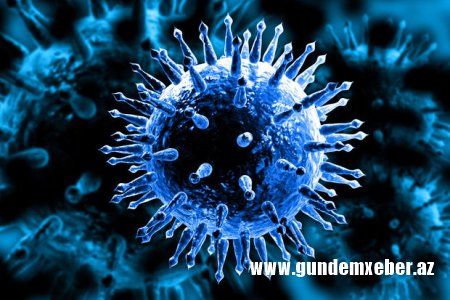 Dünyada yeni virus yayılır - VİDEO