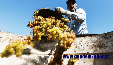 Ukraynada erməni və gürcü şərablarının satışına yasaq tələb edilib