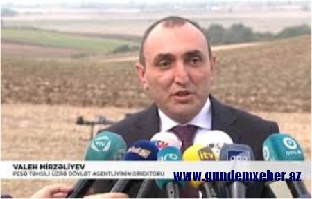 Valeh Mirzaliyevlə “Mühəndislik Tikinti Təchizat” QSC işbirliyinin başında kimlər durur