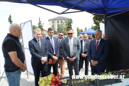 Qusarda festivalda 70-dən çox meyvəçilik təsərrüfatı subyekti, fermer və sahibkar iştirak edib