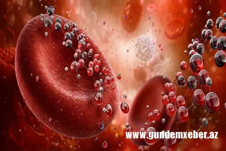 Alimlərdən gözlənilməz xəbər: Havada CO₂ artdıqca insan qanında dəyişiklik yaranır