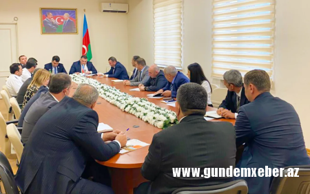 Qəhvəyi mərmər bağacığına qarşı mübarizə tədbirləri gücləndirilir